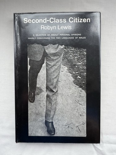Second class citizen robyn - second-class,