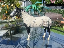 Beswick Appaloosa Stallion