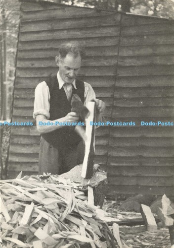 D196585 roughly shaping the - d196585,