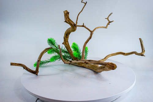Large driftwood manzanita - large,