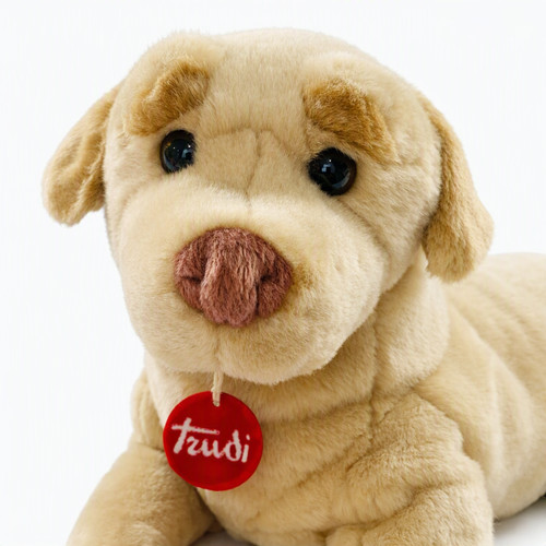 Trudi labrador dog - labrador, wwf