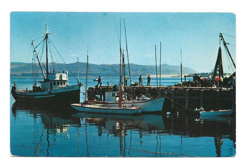Morro bay california - morro,