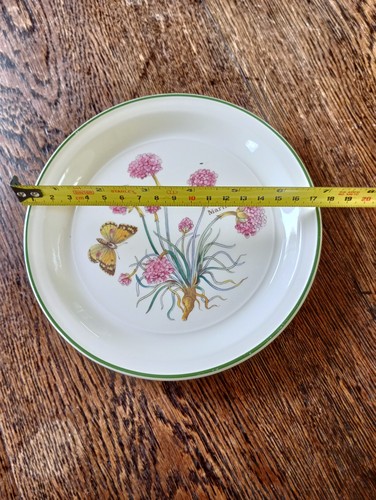 Enoch wedgewood florabunda - wedgewood,