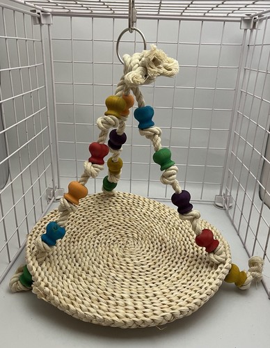 Rat hammock corn - corn,
