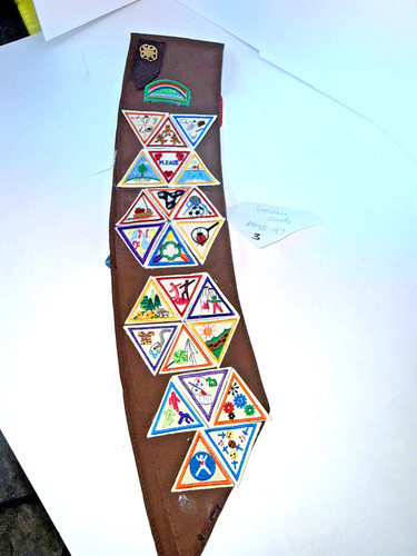 Girl scouts brownies brown - brownies,