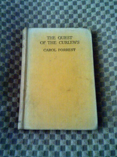 The quest - the, curlews