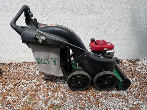 Billy goat mv650h - goat, 29"
