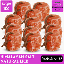 12X Himalayan salt lick Rock