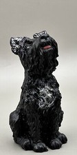 Black & White Schnauzer Dog