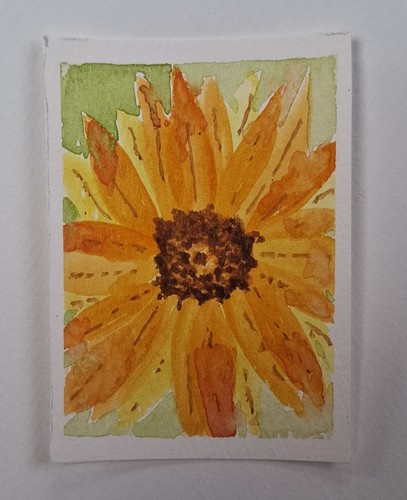 Aceo yellow daisy an - aceo, .