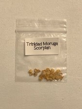 Trinidad Moruga Scorpion