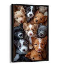GROUP OF CUTE LITTLE PUPPIES FLOAT EFFECT FRAME CANVAS ART PIC PRINT