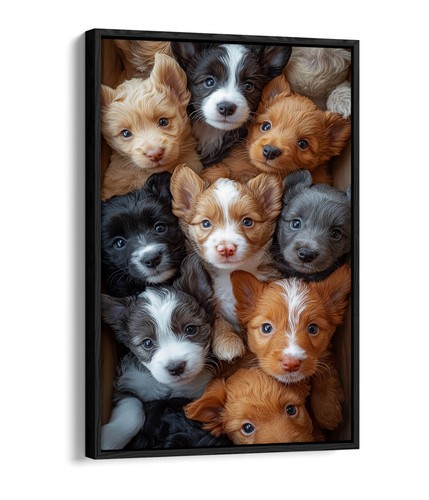 Group cute little puppies - group, of