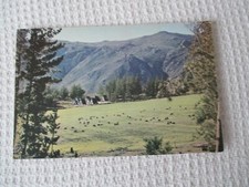  VINTAGE COLOUR POSTCARD , "