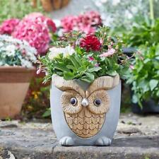 Smart Garden Woodstone Owl