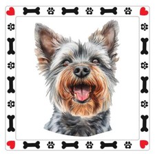 Australian Silky Terrier Dog
