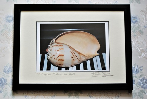 Size framed mount - a4,