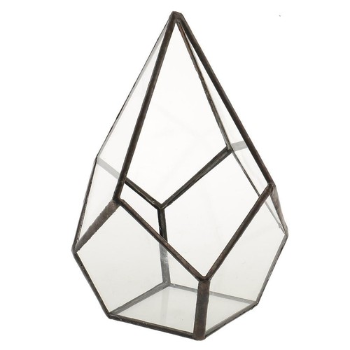 Home garden glass succulent - garden,