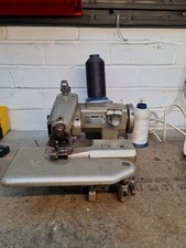 Anglo model professional - anglo,