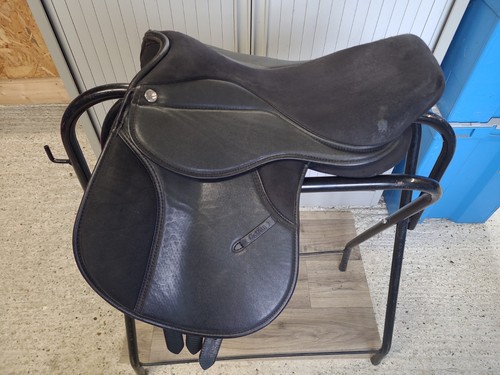 Thorowgood griffin pony club - thorowgood,