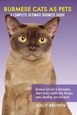 Burmese Cats as Pets: Burmese Cat Fact..., Brown, Lolly