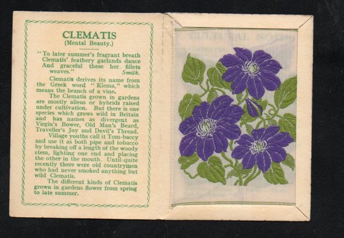 Kensitas wix silk - kensitas,
