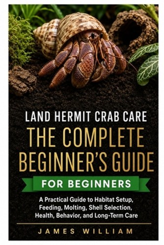 Land hermit crab care - land, the