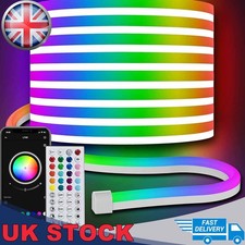 10m Remote Control RGB Neon
