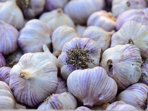 Siberian garlic whole - garlic, ,whole