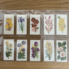 Flowers All Year Round 1977 Craven Black Cat Cigarette Cards - Set of 50 Cards