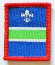 Scout patrol badge green - patrol,