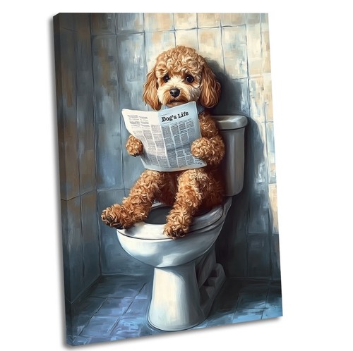 Cockapoo dog the - on,