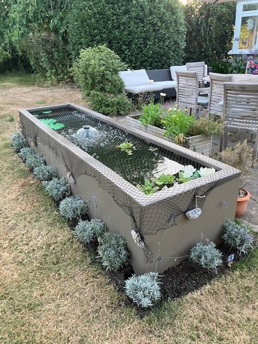 Above ground fibreglass fish