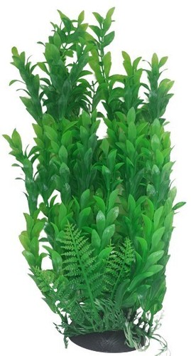 Green leaf aquarium plant - leaf,