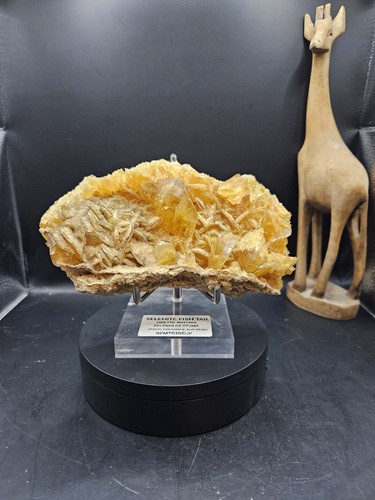 Selenite duckbill halite - duckbill,