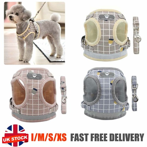 Puppy small dog cat harness - puppy,