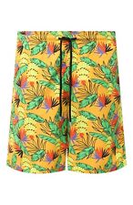 Vilebrequin Swim Shorts / Mens