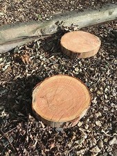 8  x 12" log garden stepping stones rustic wood logs ideal for garden