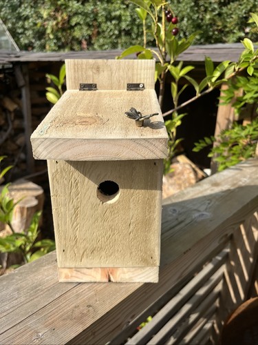 Blue tit wren nesting box - tit,