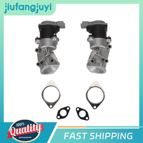 Left right egr valve - valve, for