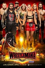 WWE Wrestlemania 35 Poster