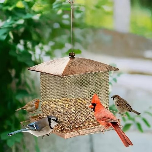 Hanging metal bird feeder - hanging,