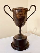 Silver trophy - 🏆,