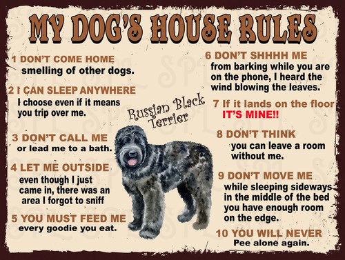 Dog house rules russian - dog's,