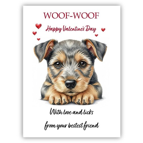 Australian terrier dog - terrier,