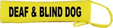Deaf blind dog - deaf,