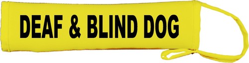 Deaf blind dog - &,