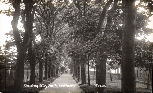 Dorchester bowling alley - bowling, walk