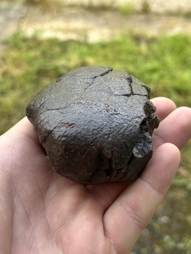 Meteorite fusion crust 360g - fusion,
