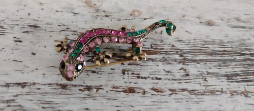 Pretty lizard gecko - pretty, lizard/gecko